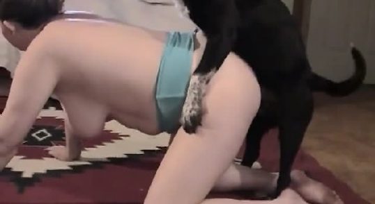 سكس كلب مع بنت