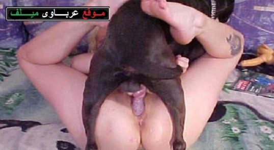 كلب ينيك بنت