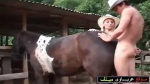 رجل ينيك حصان